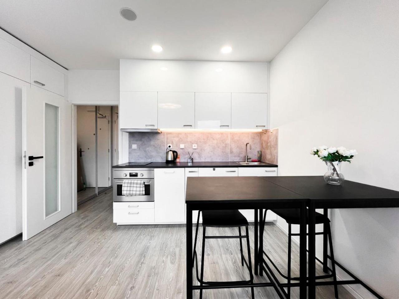 Apartmán Vinice Praha